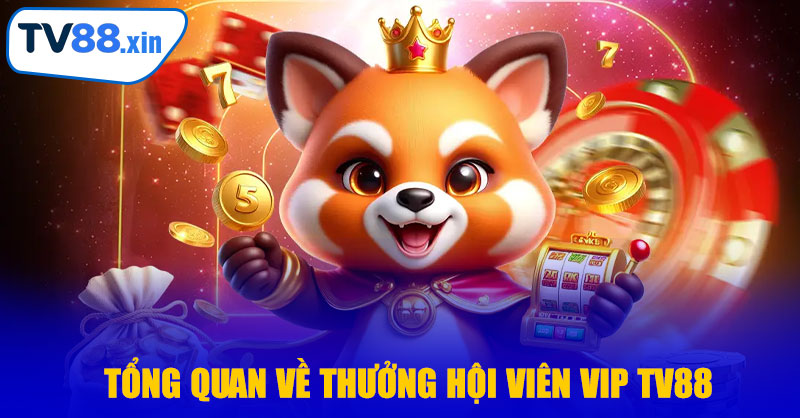 Tổng Quan Về Thưởng Hội Viên VIP TV88