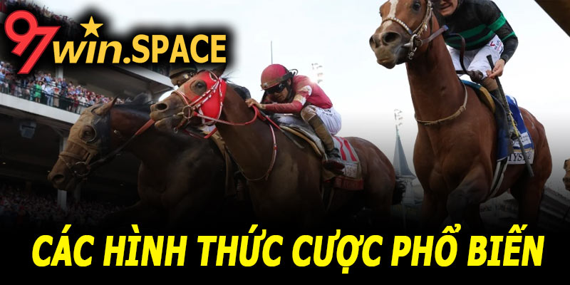 Các hình thức cược phổ biến trong đua ngựa 97Win